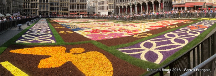 grand-place de bruxelles,tapis de fleurs,bloementapijt,flower carpet